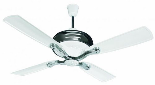 titanis white